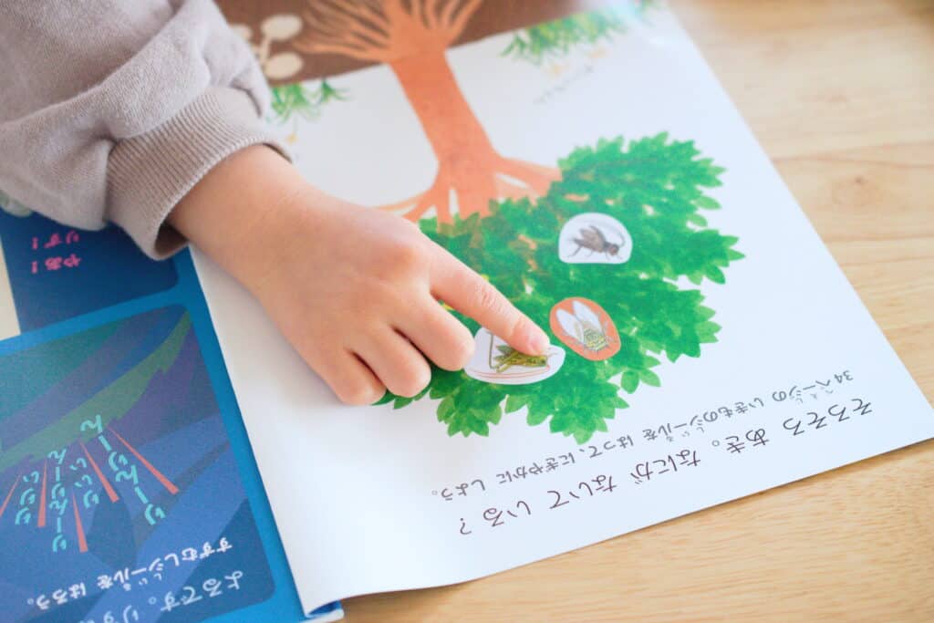 ポピー「あおどり」はこんな人にぴったり!