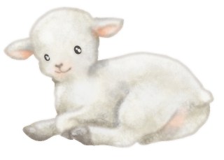 しまじろう|らむりん|羊のイラスト