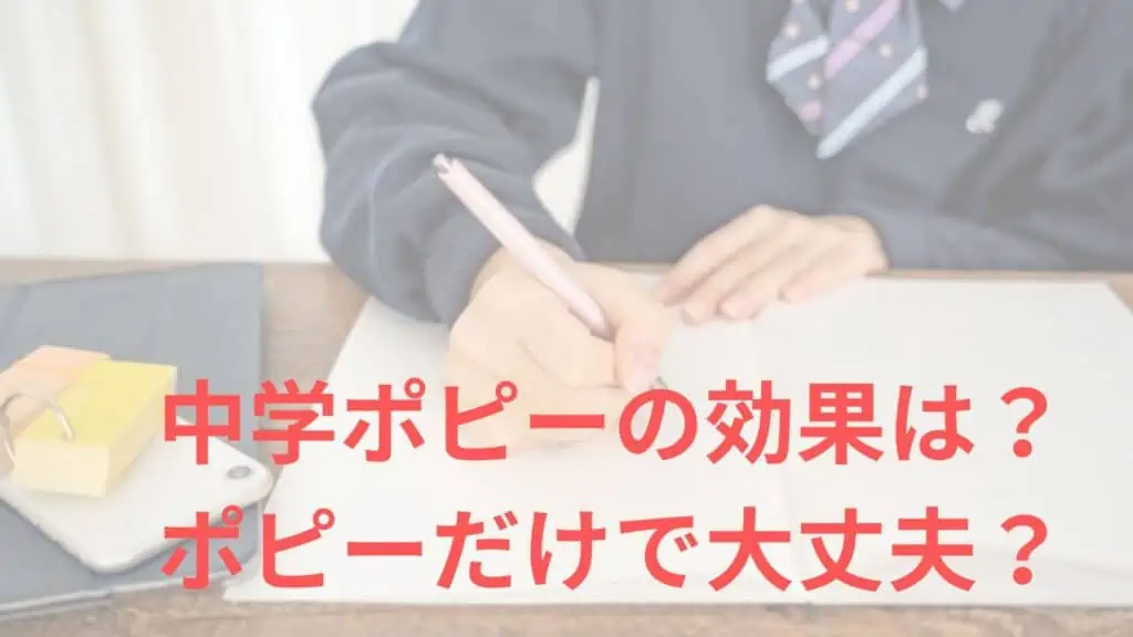 中学ポピー効果を知りたい！教材の使い方は？