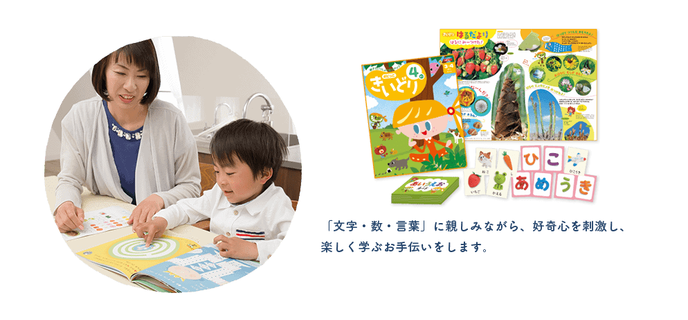 幼児ポピー・始めやすいお手頃価格