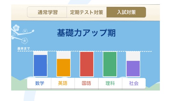 中学生スマイルゼミの入試対策