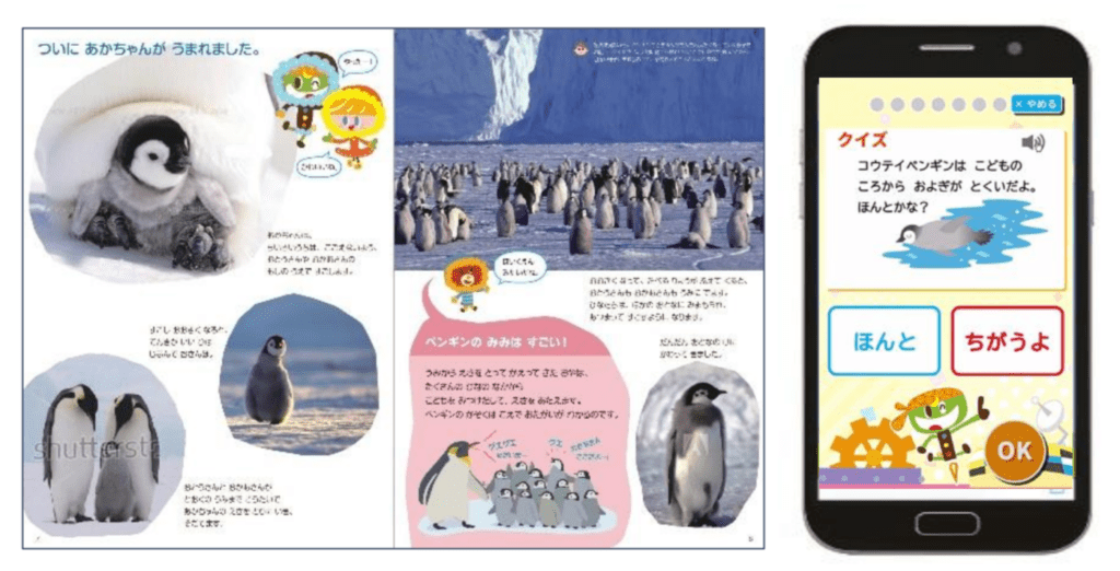 ポピー幼児のデジタルコンテンツ②Webクイズ