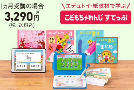 【こどもちゃれんじ】すてっぷタッチとすてっぷ、どっちがいい?